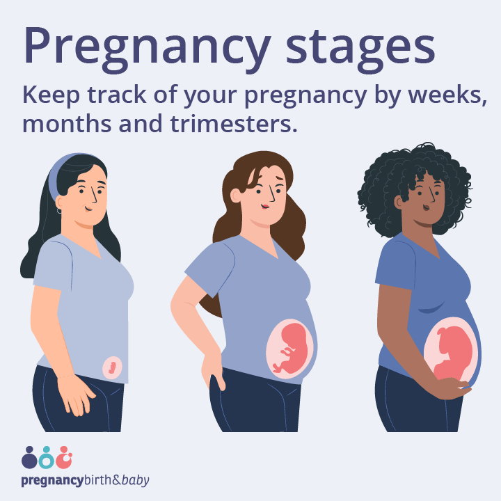 Stages of pregnancy - Promo tile
