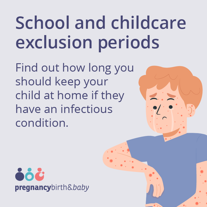 School exclusion periods infographic promotional tile