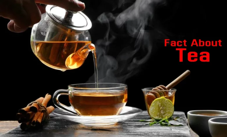 facts about tea